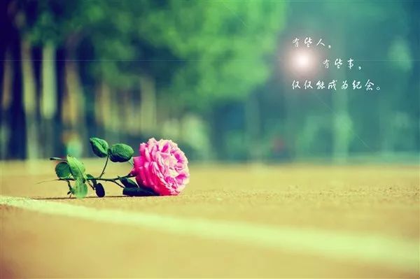 56aa1b391a2d4ceab29ba0c4aea26c3b.jpeg