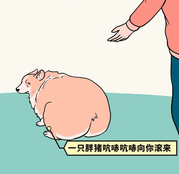64b133d5fd0c48079ce8f2c5b846f41f.jpeg