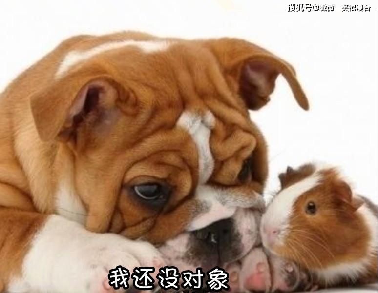 孩他妈，早上七点叫我起床