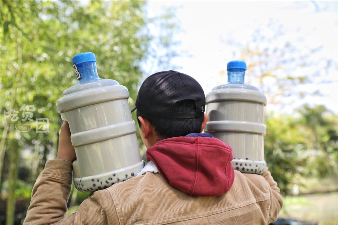 5l装全家桶奶茶!我先喝到了!_福州