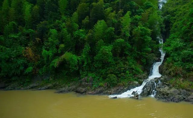 广西的十万大山景区,真的有十万座大山吗?