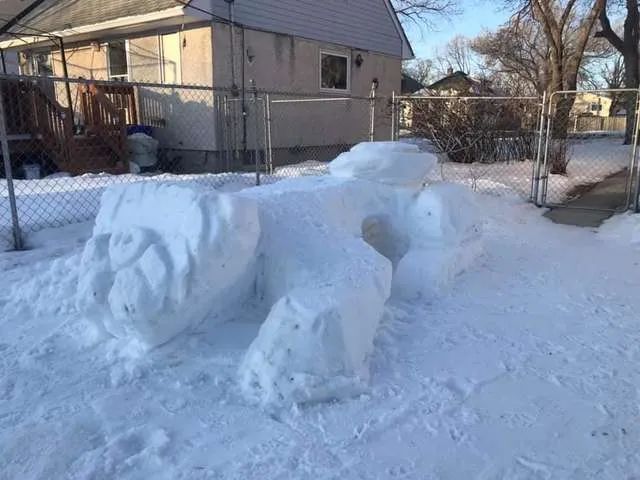 主人為了讓汪星人在冬天不宅家，在院子裡為它們打造了個冰雪樂園 寵物 第3張