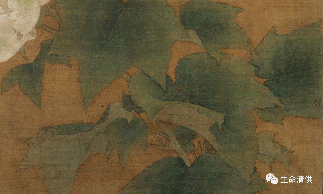 南宋李迪｜《红白芙蓉图》_河南