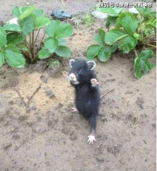 孩他妈，早上七点叫我起床