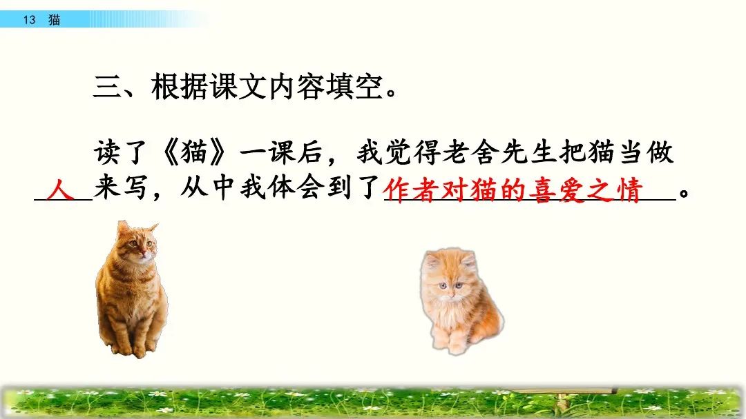 部编版四年级下册第13课《猫》课文朗读、知识点、图文解读