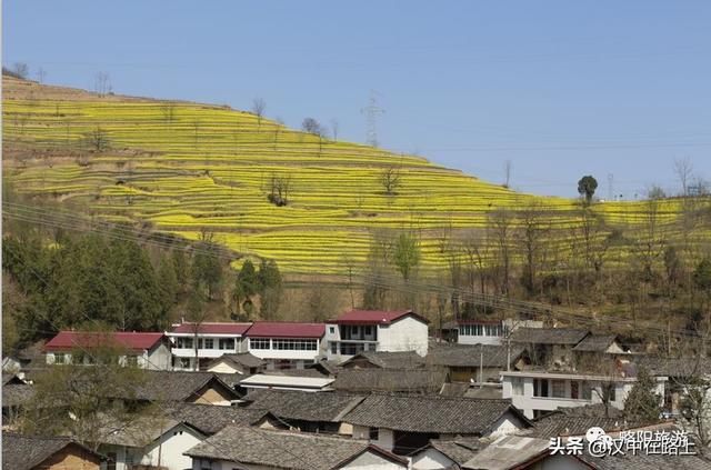 金淮村人口_淮村兵后诗的背景