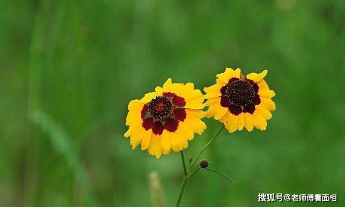 3月开始好运难挡苦尽甘来爱情事业大丰收的四大生肖