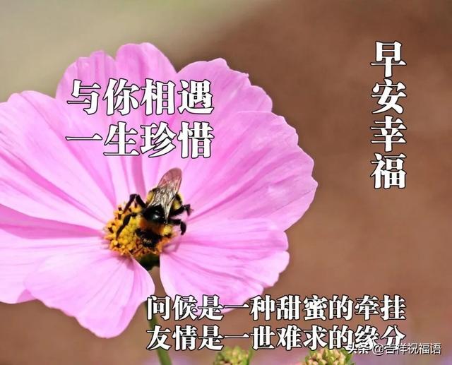 早上好,一声问候开启美好的一天,祝福送上,愿你每天笑颜盛开,愿我们