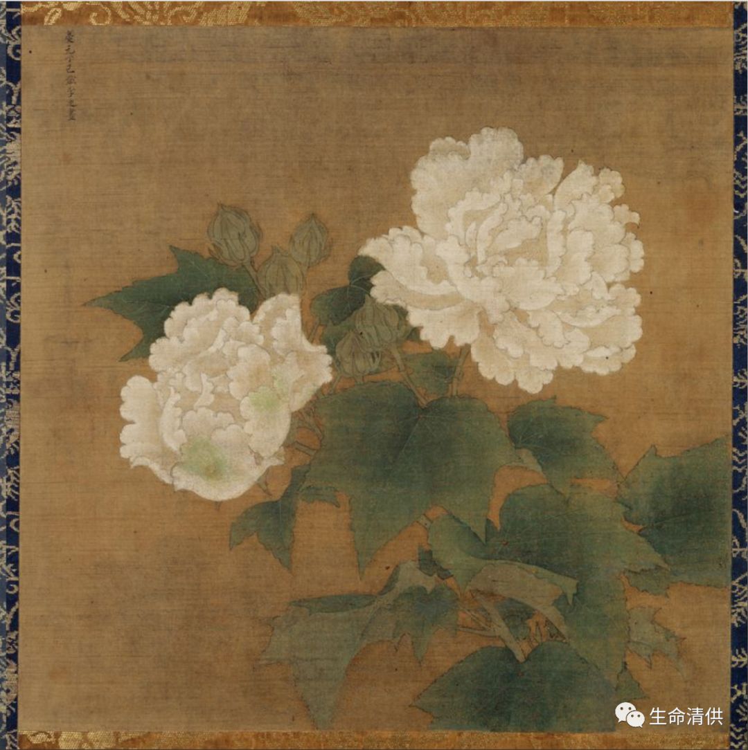 南宋李迪｜《红白芙蓉图》_河南