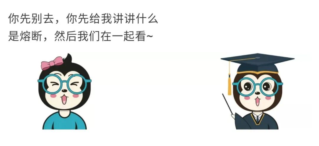 “遮风挡雨”打最佳一什么生肖、词语落实释义解释