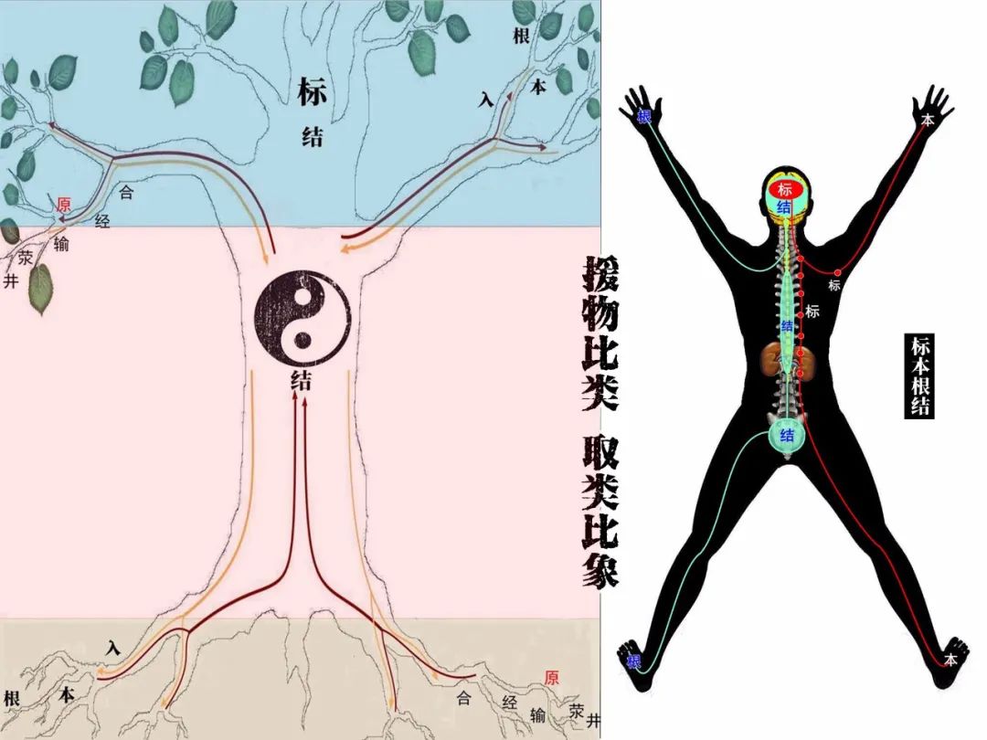 七情六欲是哪七情哪六欲佛教说法 bddcbf0f2f4d44959310a7535862a02a.jpeg