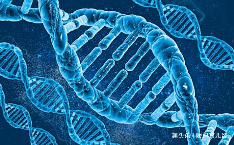 赵丽颖■姐弟俩完美遗传父母优良基因,颜值出众有种“基因”叫赵丽颖家