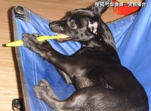 孩他妈，早上七点叫我起床