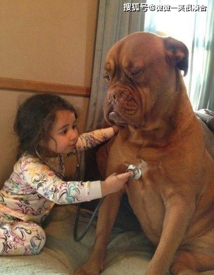 孩他妈，早上七点叫我起床