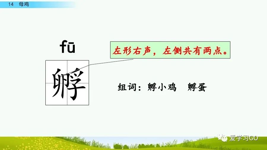 部编版语文四年级下册第14课母鸡课文朗读知识要点图文讲解同步练习