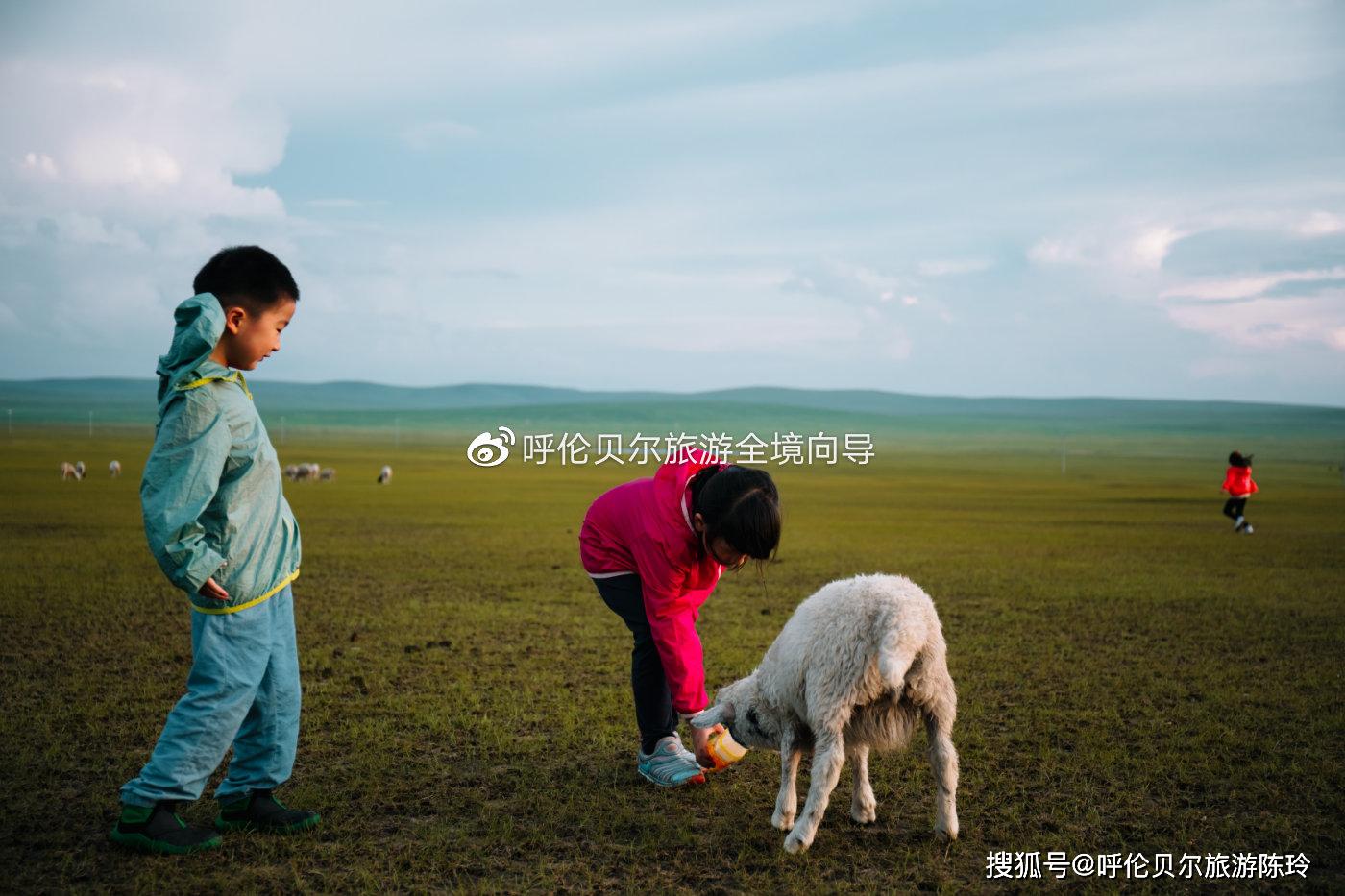 内大都可以来了草原,不妨就做一天蒙古人,过一天蒙古族小朋友的生活