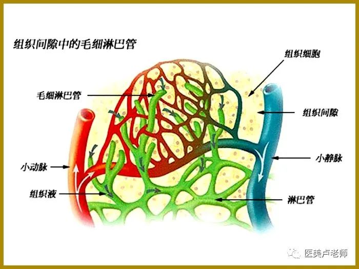 整形手术中的微循环障碍