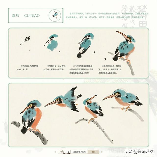 中国写意画|各类昆虫,鸟类画法步骤详解,画友收藏必备
