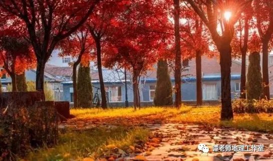 「地理」【学法指导】高考地理一轮二轮复习规划及备考重点