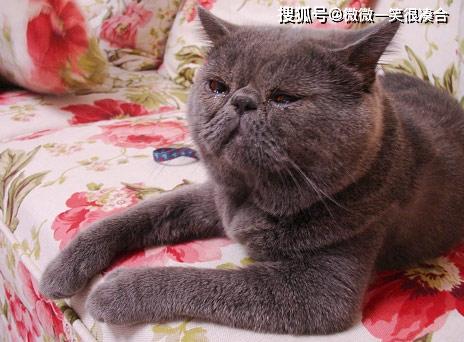 孩他妈，早上七点叫我起床