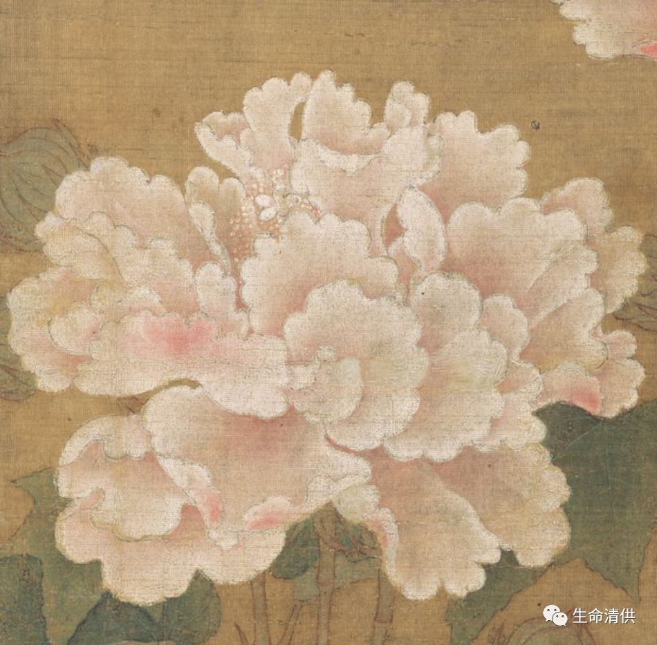 南宋李迪｜《红白芙蓉图》_河南