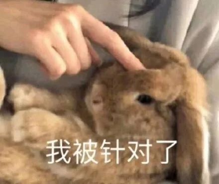 抖音热门表情包i小朋友你是否有很多问号