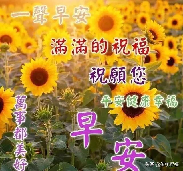 早上好问候语图片 早安祝福语漂亮图片