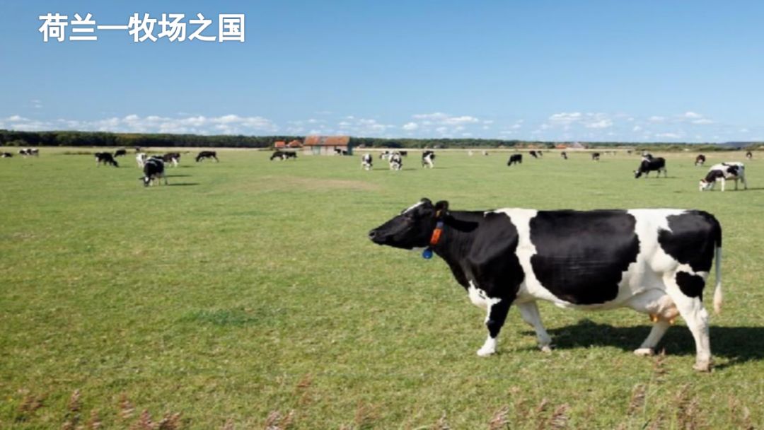 八,课文主题 本文从