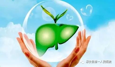 爱肝护肝 享受"肝"净"生活!_肝脏