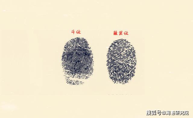(1,0个斗(10个簸箕:如果一个人的双手十指皆是簸箕纹,拥有0个斗纹的