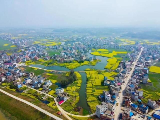 阳春布德泽,万物生光辉 生机之美