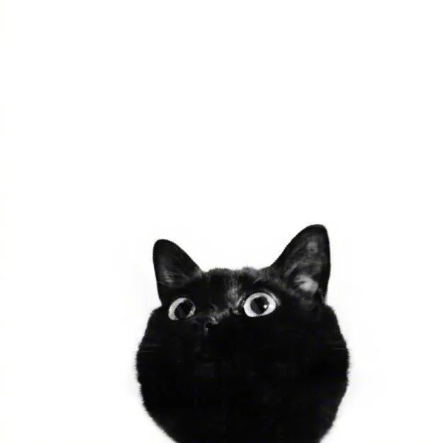 160bf97a95de4fb38a1cf1b43d47eaa7.jpeg