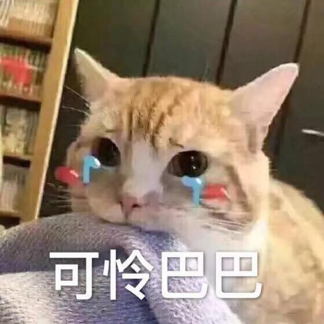 可怜巴巴的