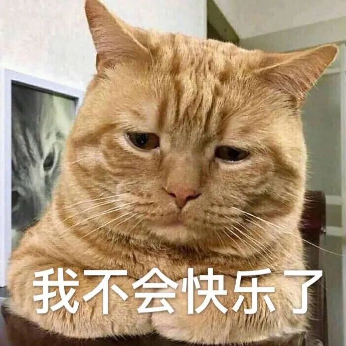 我不会快乐了