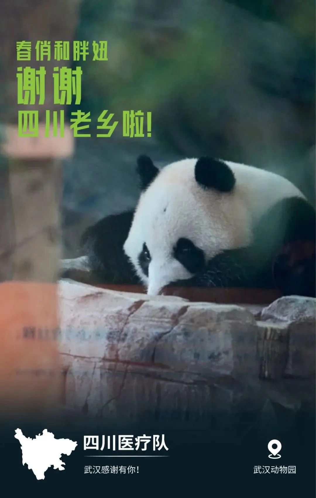 哭泪四溅疯狂猜成语_疯狂猜成语火花四溅(3)