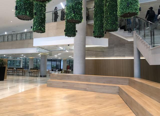 网易如何注册账号