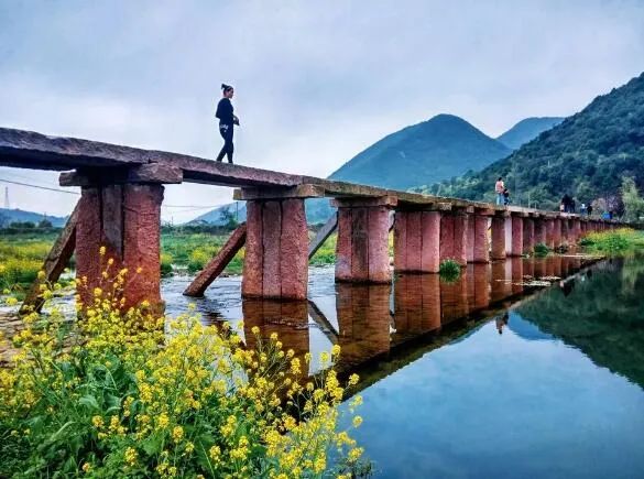 鄞州区:云龙镇任新村,五乡镇仁久村,首南街道日丽