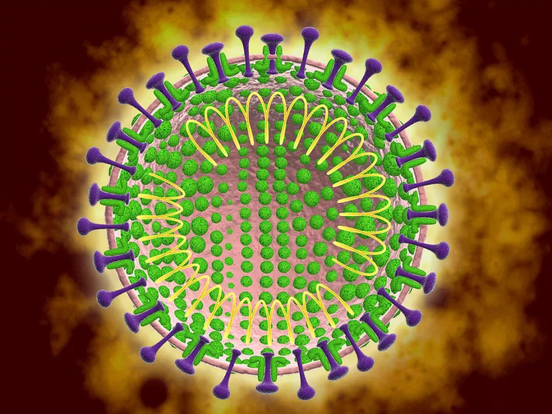 【生物课】什么是病毒？