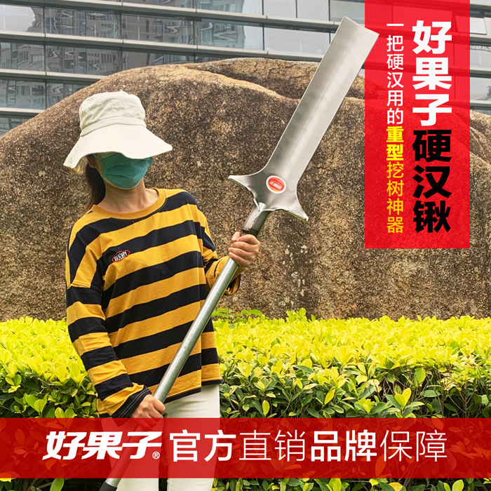 号称"一把好锹用三代"的好果子挖树神器挖树"硬汉锹"深得广大硬汉青睐