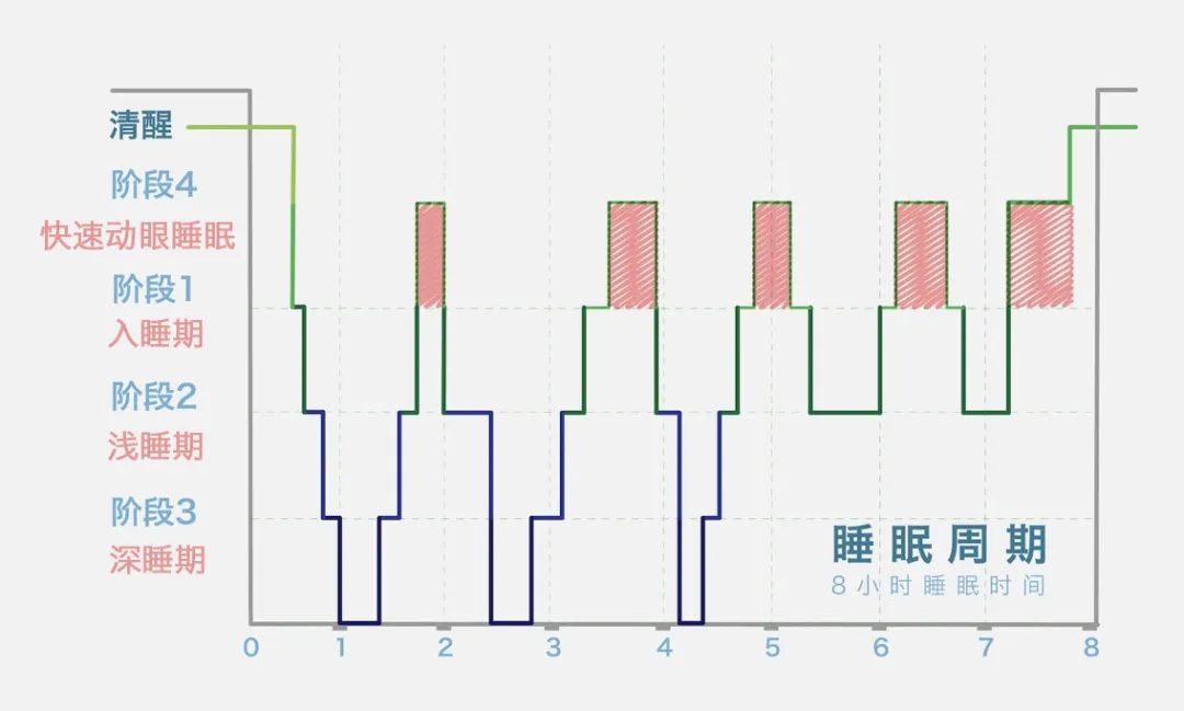 回到开篇我遇到的情况,闹钟响起的时候,我正好处于第三阶段的深度睡眠