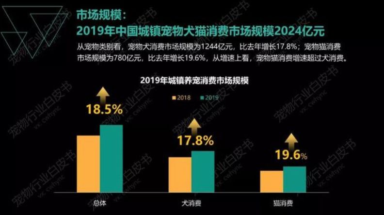 2024年人口结构_近些年人口年龄结构(3)