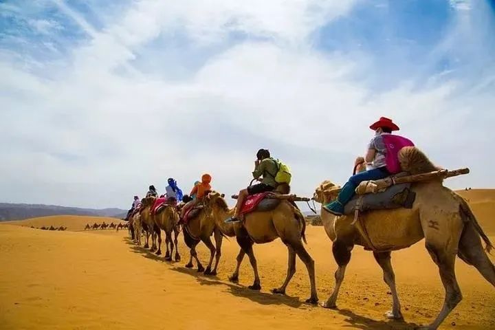 我的家乡在宁夏 | 中国沙漠旅游中一面耀眼的旗帜:宁夏沙坡头旅游区