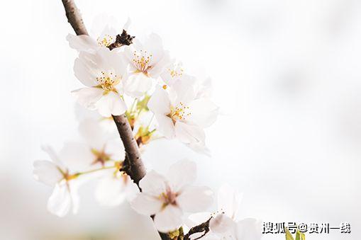 7420e1b71f1e4444ab17aeba82a705f8.jpeg