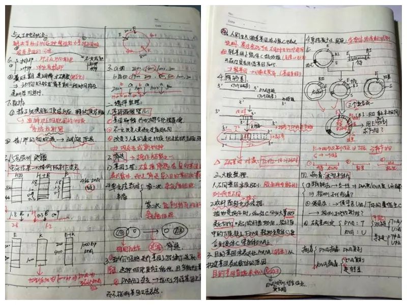 衡水二中高二1级部学生网课优秀笔记展示