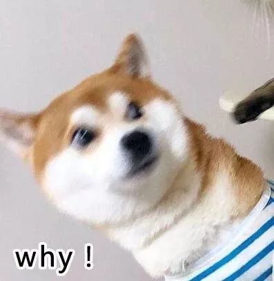 91bb5e58c9a3446ba167ca795414b3d8.jpeg