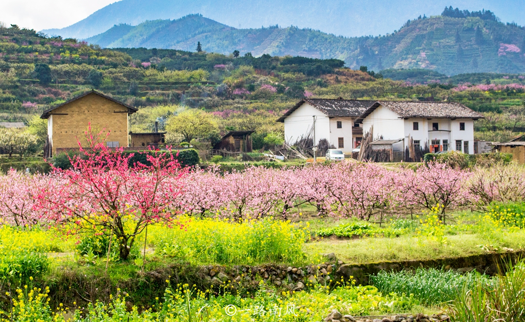 广东最美的乡村 漫山遍野开满鲜花 像画像仙境 桃花源