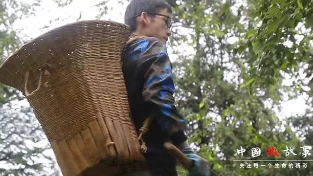 父母：又两省马上开学! 校内还不用戴口罩!在家自学不下去时想想同龄人