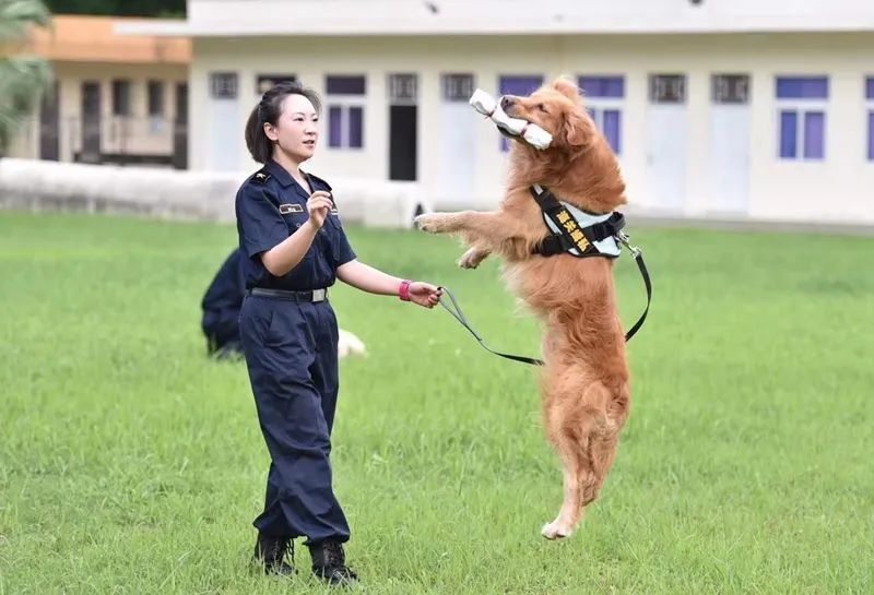 和缉私犬一起迎接世间的温暖