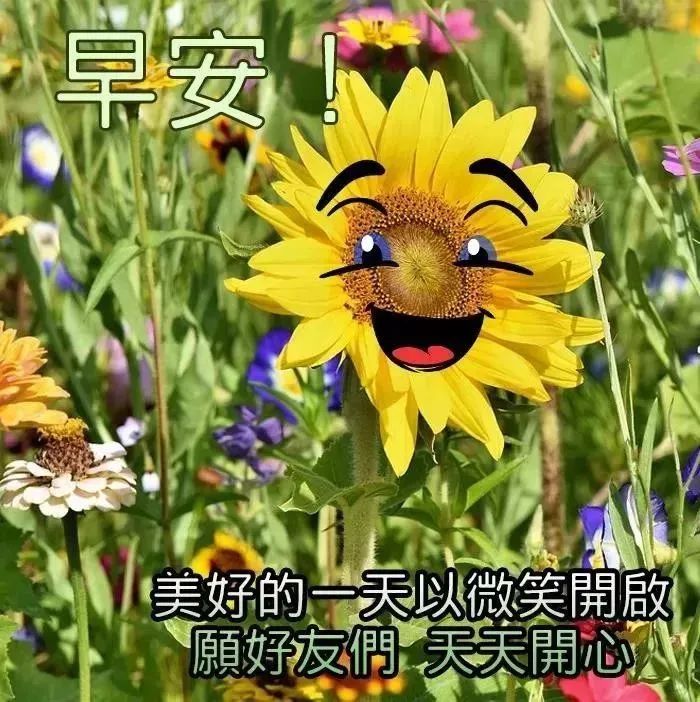 3月18日周三群发早上好问候祝福动态表情图片 3月最美