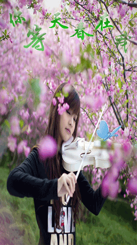 268_480竖版 竖屏gif 动态图 动图